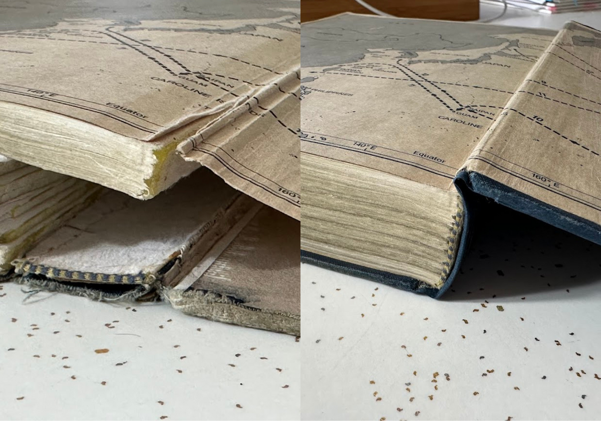 Book Repair Consultation – Kuro's Workshop
